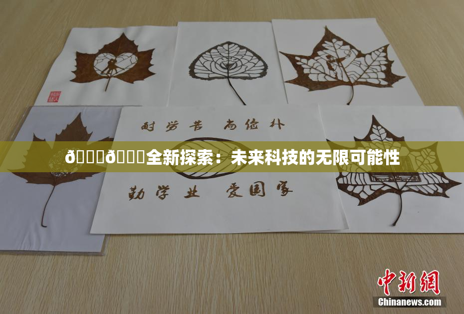 🍆🍑全新探索：未来科技的无限可能性