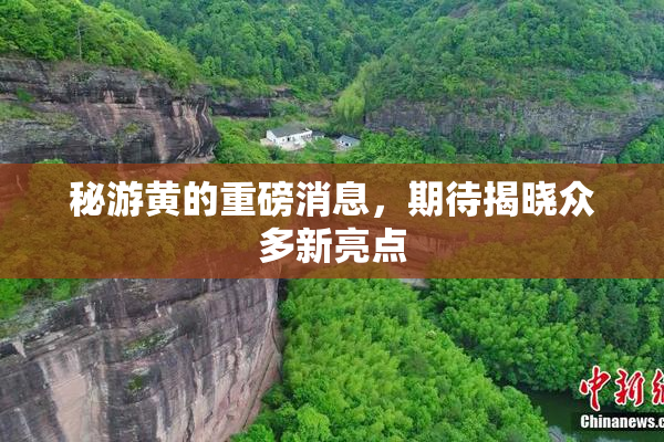 秘游黄的重磅消息，期待揭晓众多新亮点