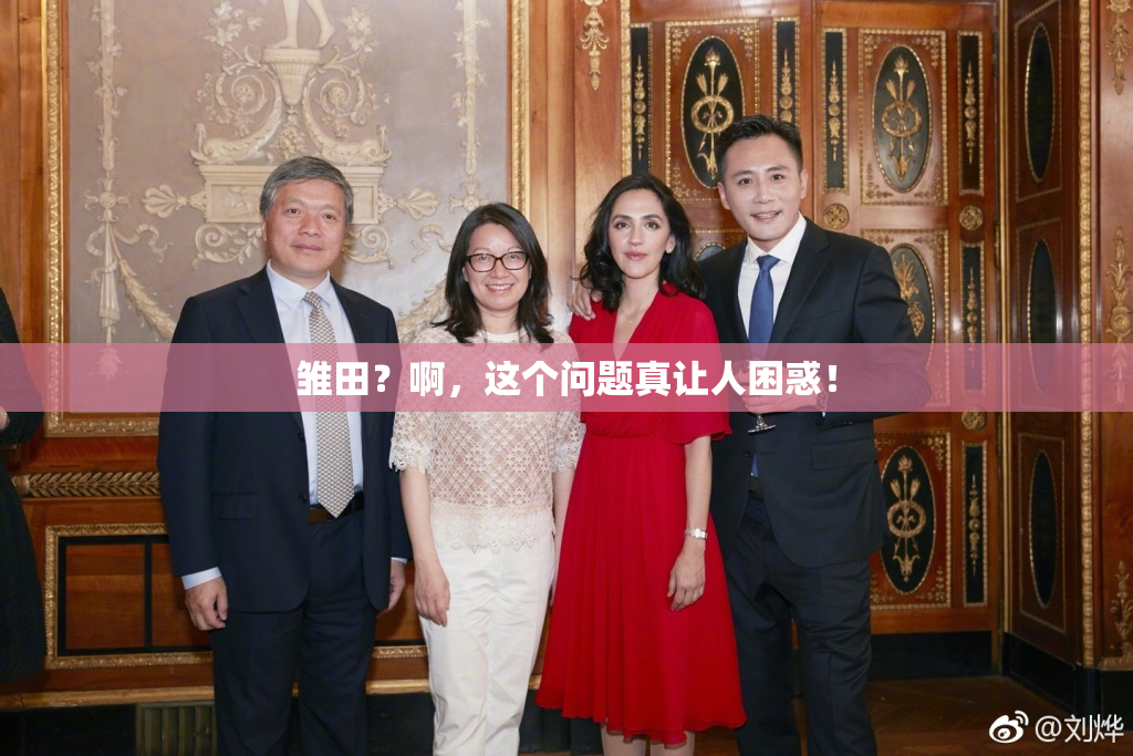雏田？啊，这个问题真让人困惑！
