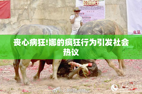 丧心病狂!娜的疯狂行为引发社会热议