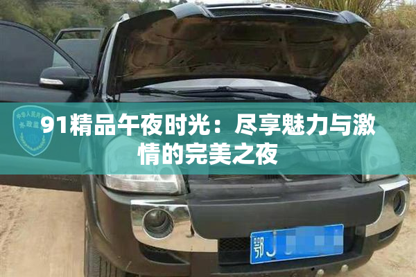 91精品午夜时光：尽享魅力与激情的完美之夜
