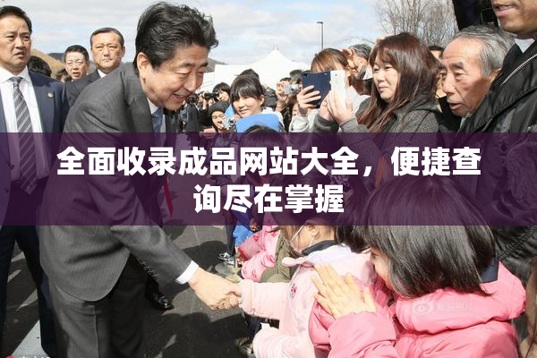 全面收录成品网站大全，便捷查询尽在掌握