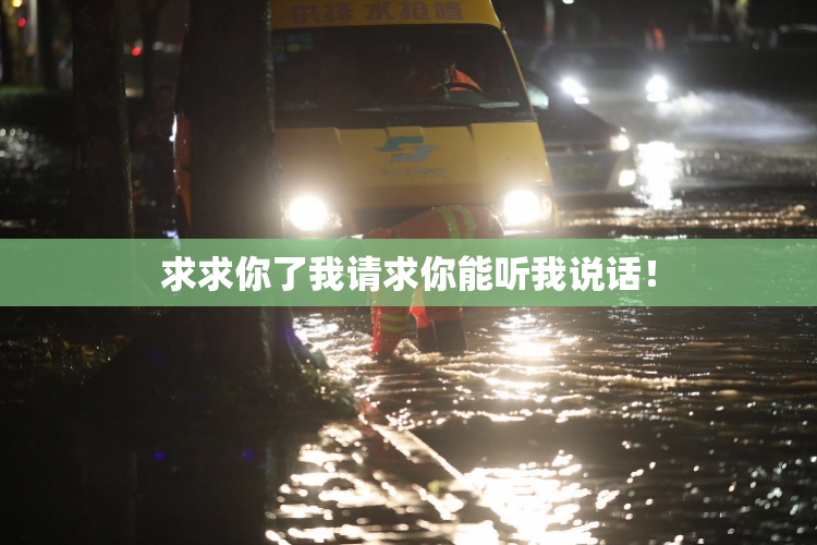 求求你了我请求你能听我说话！