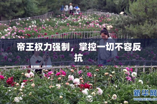 帝王权力强制，掌控一切不容反抗