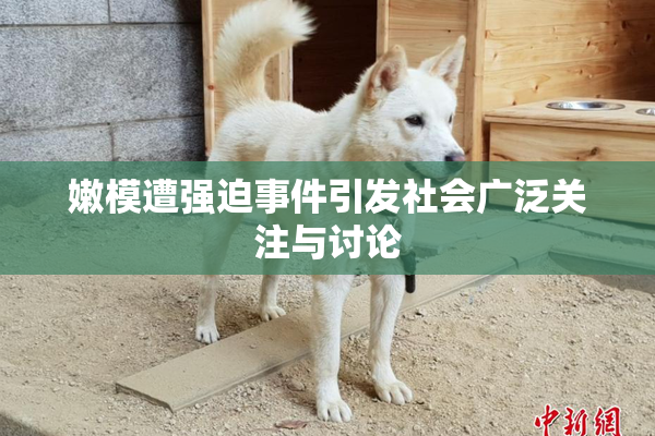 嫩模遭强迫事件引发社会广泛关注与讨论
