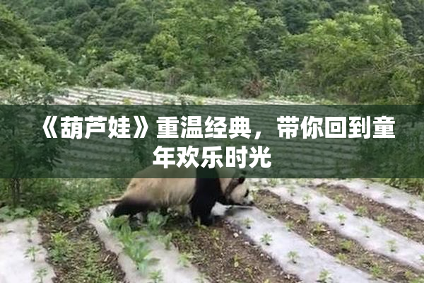 《葫芦娃》重温经典，带你回到童年欢乐时光
