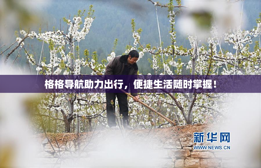 格格导航助力出行，便捷生活随时掌握！