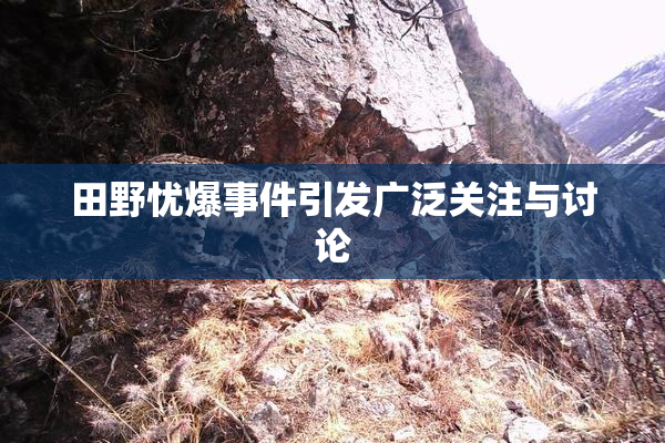 田野忧爆事件引发广泛关注与讨论