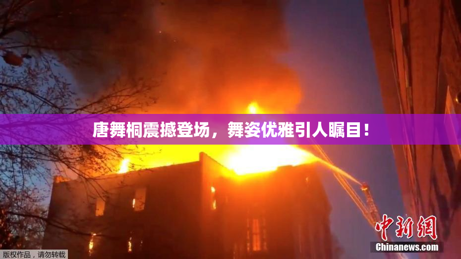 唐舞桐震撼登场，舞姿优雅引人瞩目！