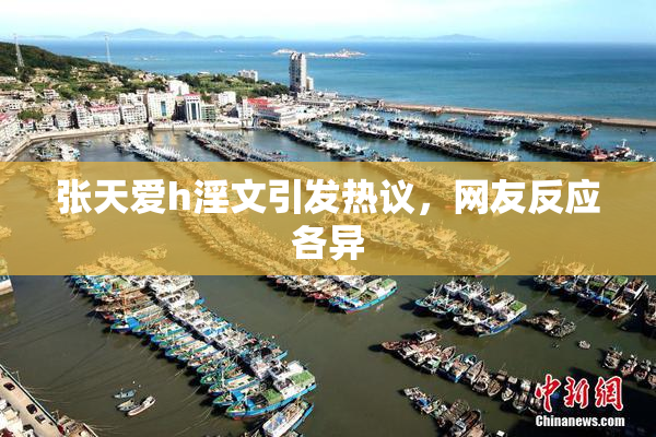 张天爱h淫文引发热议，网友反应各异