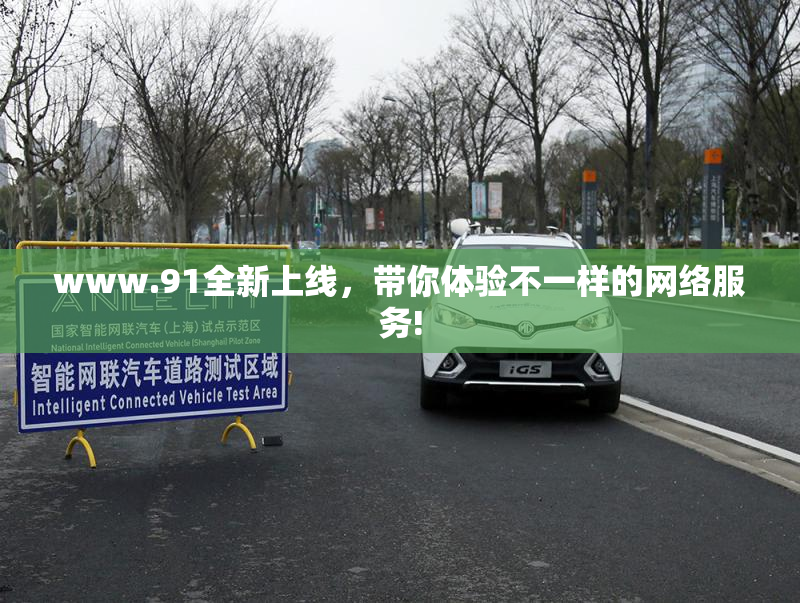 www.91全新上线，带你体验不一样的网络服务!