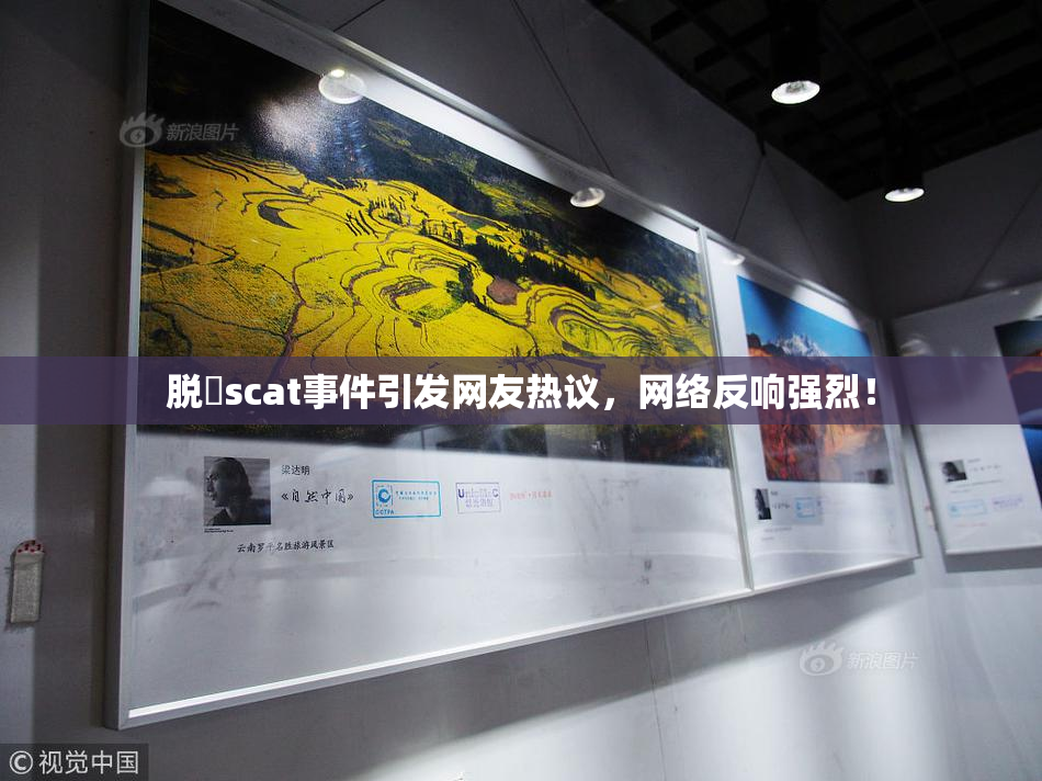 脱糞scat事件引发网友热议，网络反响强烈！