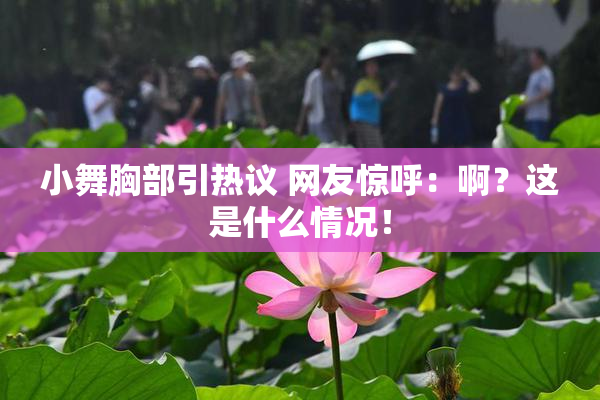 小舞胸部引热议 网友惊呼：啊？这是什么情况！