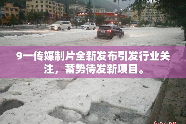 9一传媒制片全新发布引发行业关注，蓄势待发新项目。