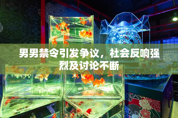 男男禁令引发争议，社会反响强烈及讨论不断