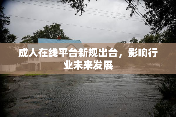 成人在线平台新规出台，影响行业未来发展