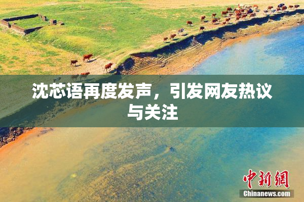 沈芯语再度发声，引发网友热议与关注