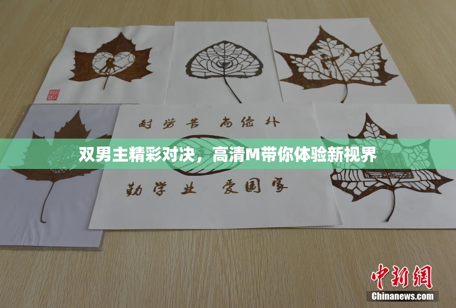 双男主精彩对决，高清M带你体验新视界