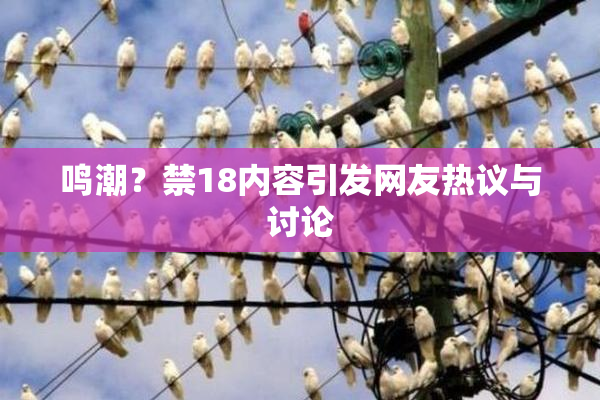 鸣潮？禁18内容引发网友热议与讨论