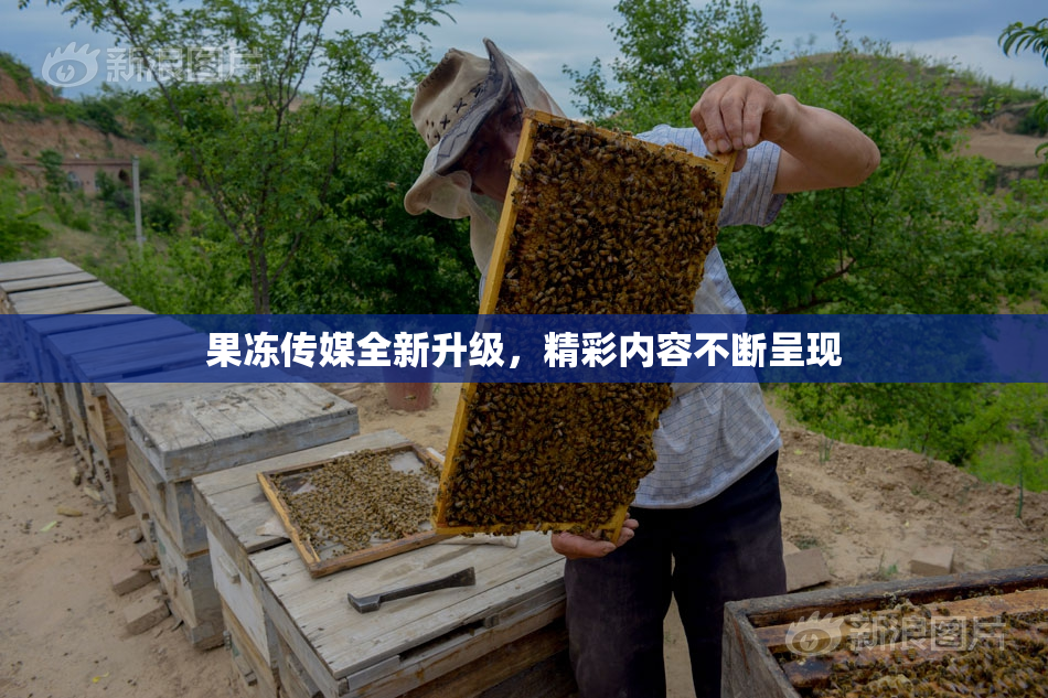 果冻传媒全新升级，精彩内容不断呈现