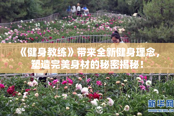 《健身教练》带来全新健身理念，塑造完美身材的秘密揭秘！