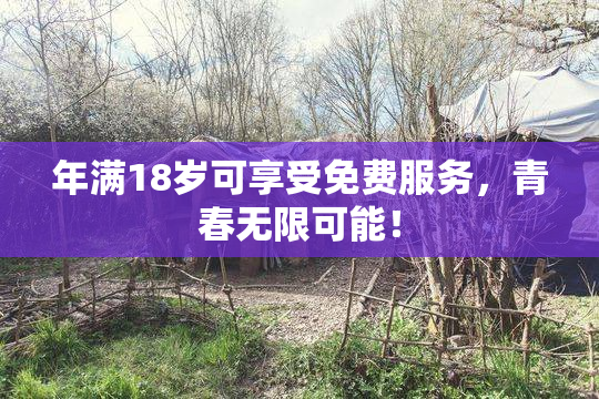 年满18岁可享受免费服务，青春无限可能！