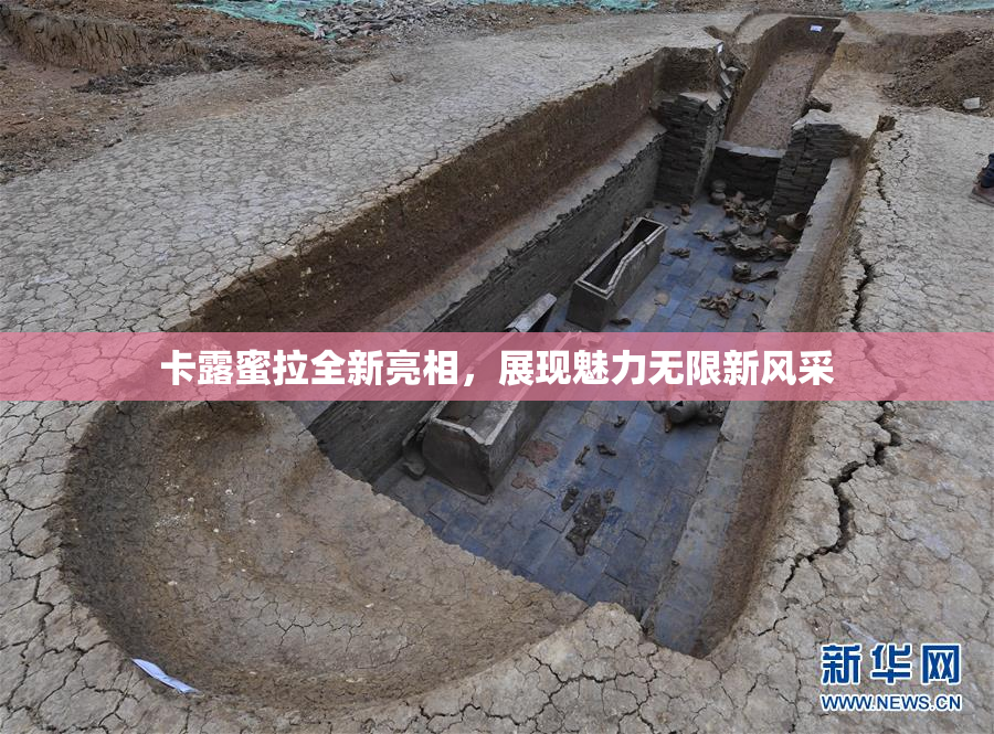 卡露蜜拉全新亮相，展现魅力无限新风采