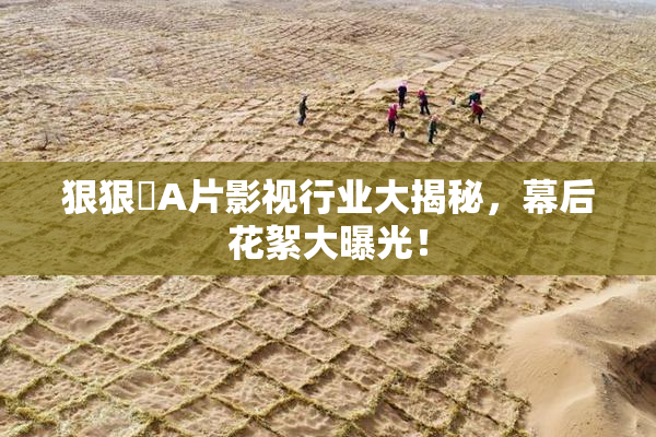 狠狠穞A片影视行业大揭秘，幕后花絮大曝光！