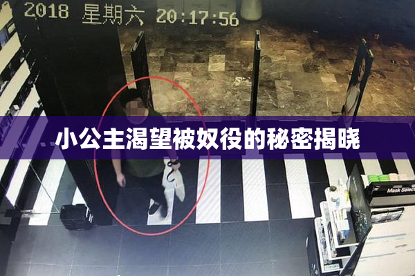 小公主渴望被奴役的秘密揭晓