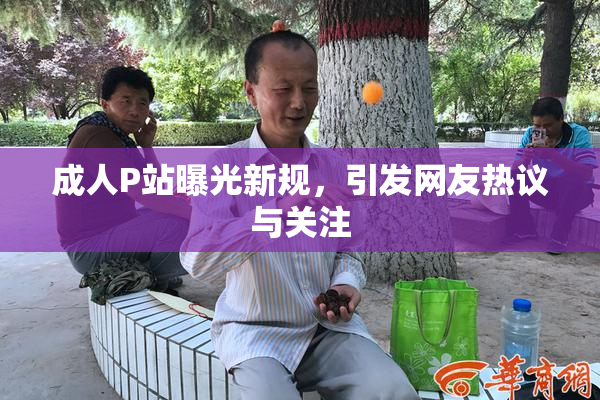 成人P站曝光新规，引发网友热议与关注