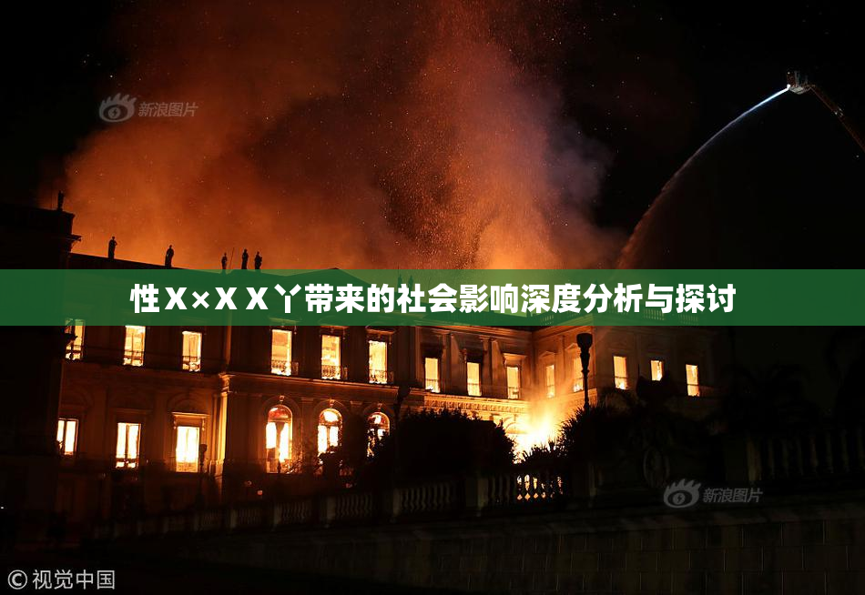 性Ⅹ×ⅩⅩ丫带来的社会影响深度分析与探讨