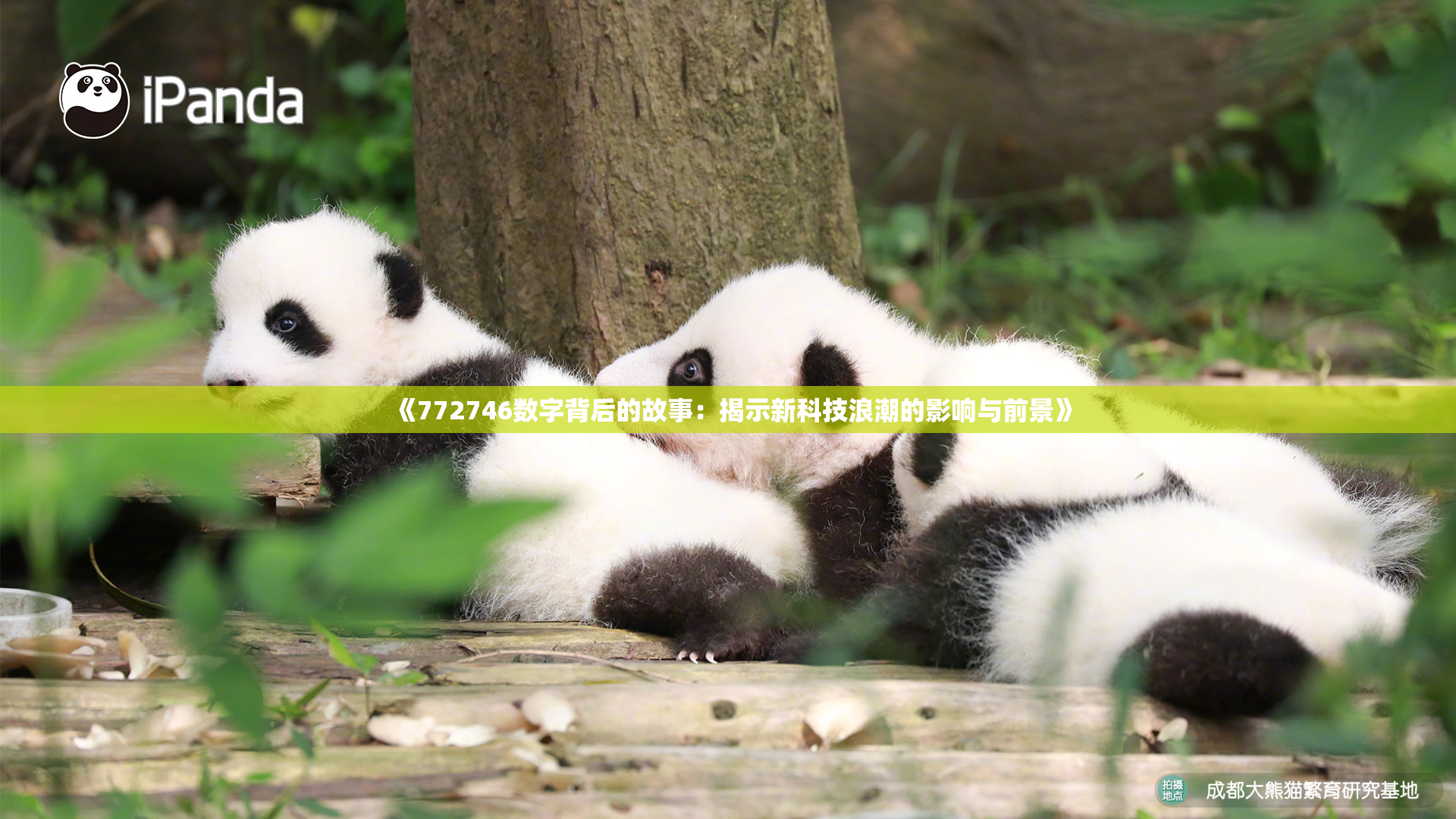 《772746数字背后的故事：揭示新科技浪潮的影响与前景》
