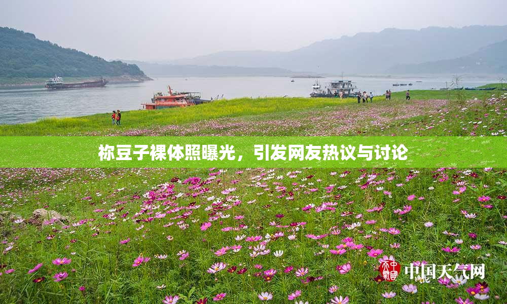 祢豆子裸体照曝光，引发网友热议与讨论