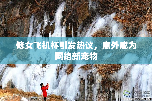 修女飞机杯引发热议，意外成为网络新宠物