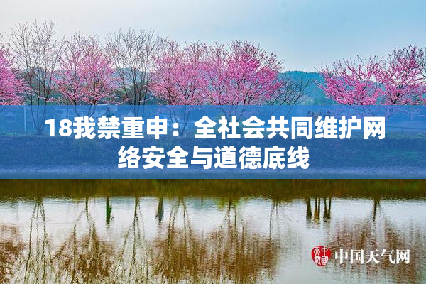 18我禁重申：全社会共同维护网络安全与道德底线