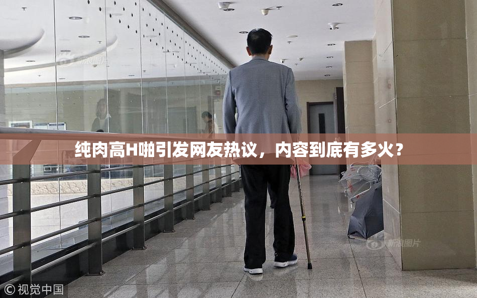 纯肉高H啪引发网友热议，内容到底有多火？