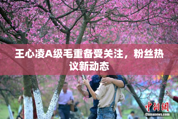 王心凌A级毛重备受关注，粉丝热议新动态