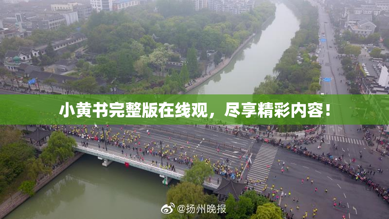 小黄书完整版在线观，尽享精彩内容！