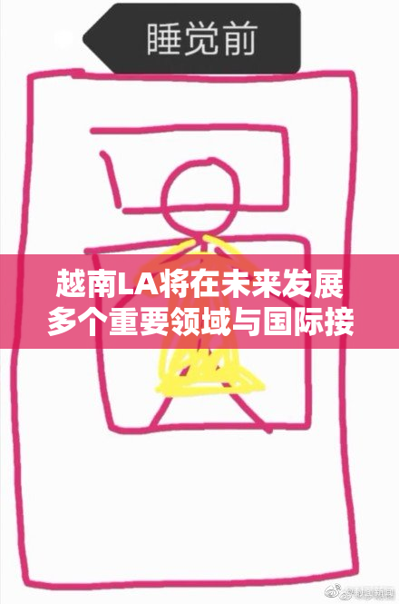 越南LA将在未来发展多个重要领域与国际接轨