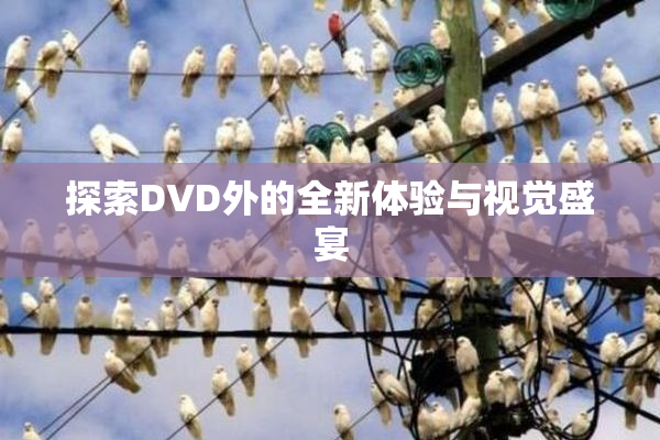 探索DVD外的全新体验与视觉盛宴