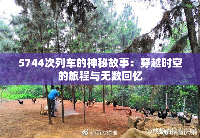 5744次列车的神秘故事：穿越时空的旅程与无数回忆