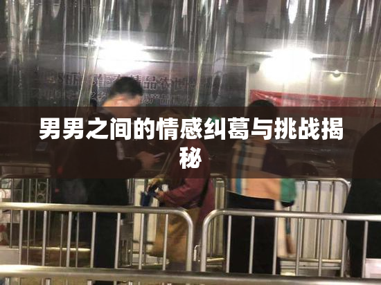 男男之间的情感纠葛与挑战揭秘
