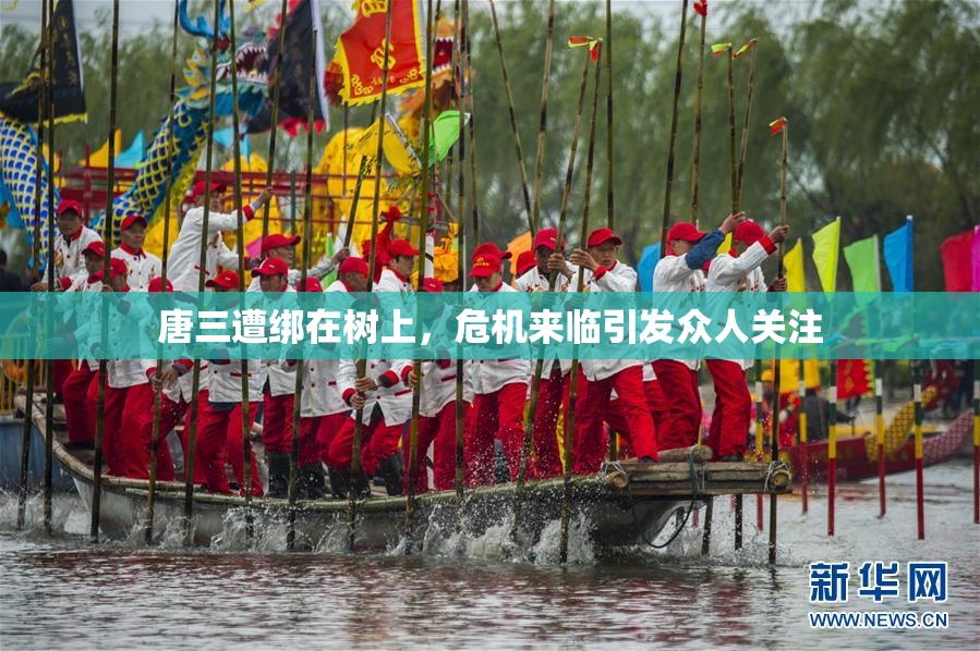 唐三遭绑在树上，危机来临引发众人关注