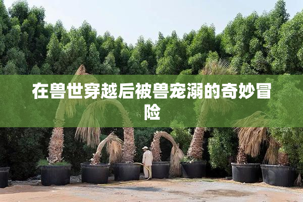 在兽世穿越后被兽宠溺的奇妙冒险