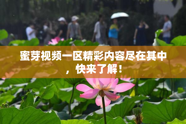 蜜芽视频一区精彩内容尽在其中，快来了解！