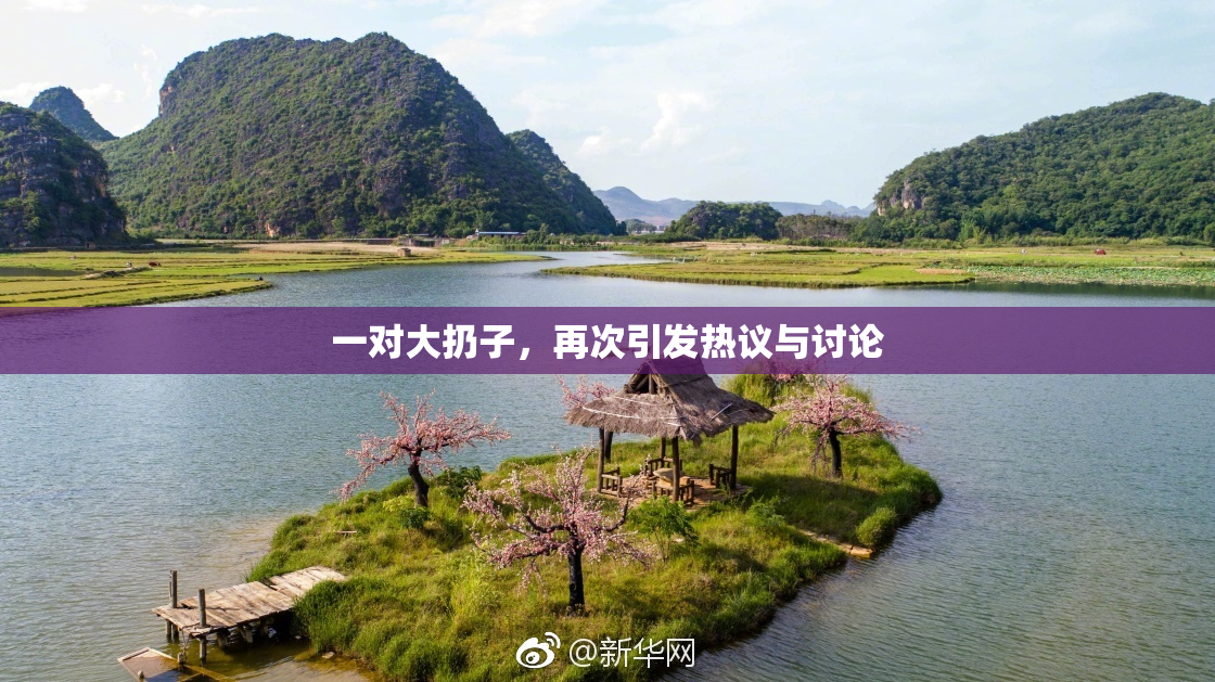 一对大扔子，再次引发热议与讨论