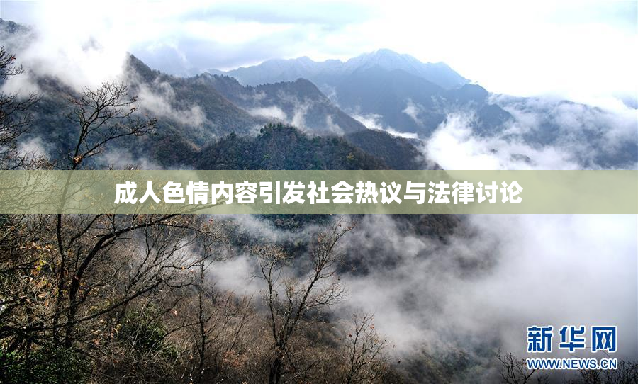 成人色情内容引发社会热议与法律讨论
