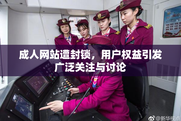 成人网站遭封锁，用户权益引发广泛关注与讨论