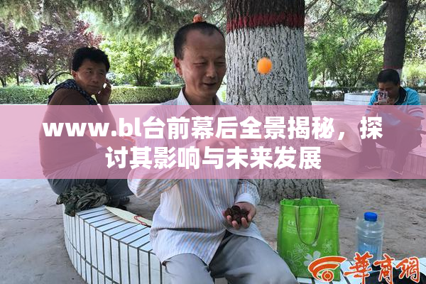 www.bl台前幕后全景揭秘，探讨其影响与未来发展