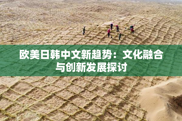 欧美日韩中文新趋势：文化融合与创新发展探讨